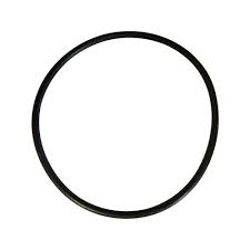 Hayward AXW542 Leaf Canister O-Ring
