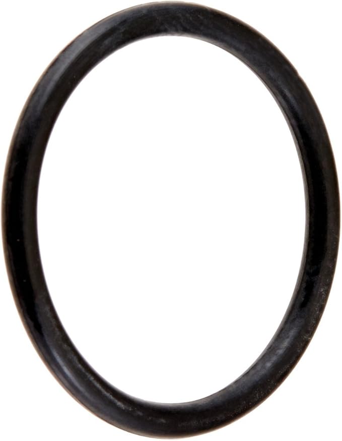 Hayward CX250Z7 Locking Knob O-Ring -C250/C800/C1100/C1500