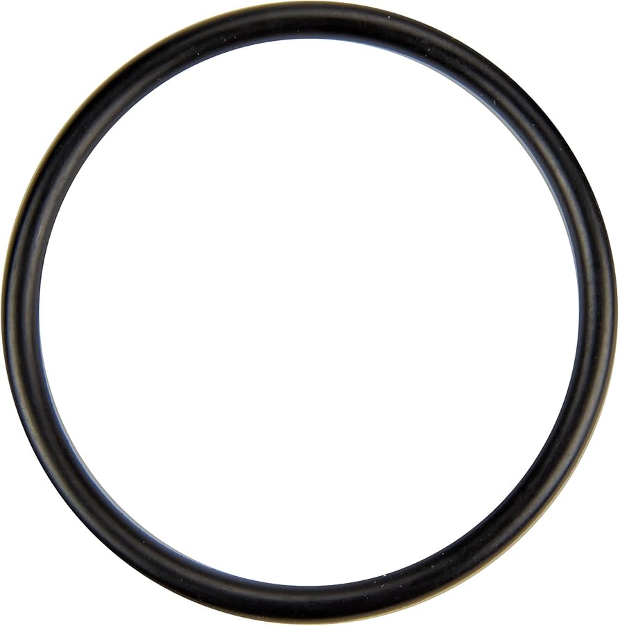Pentair U9-226 Diffuser O-Ring - Sta-Rite Dura-Glas / Max-E-Glas Pumps