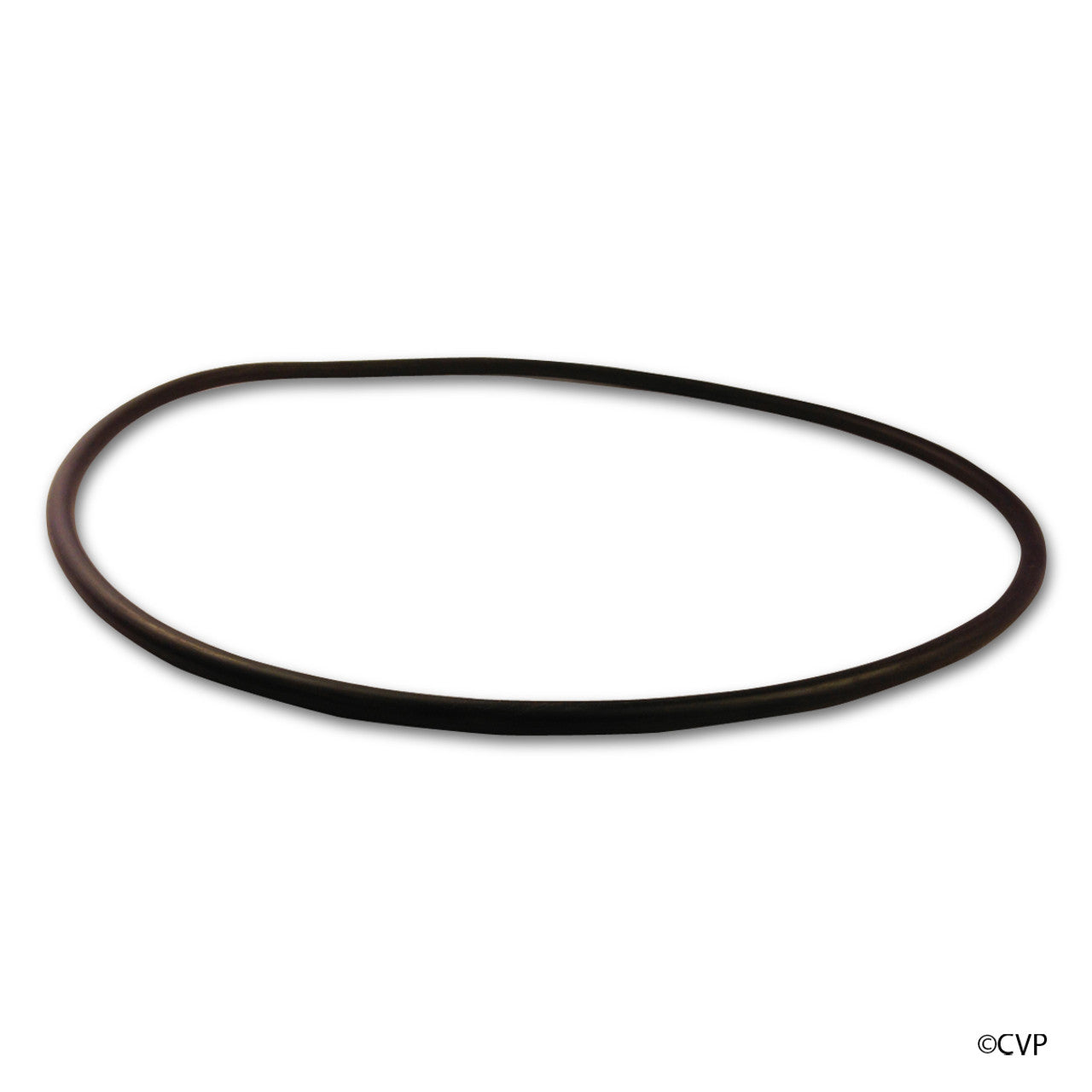 Pentair U9-228 Seal Plate O-Ring - Sta-Rite Dura-Glas / Max-E-Pro / IntelliPro Pumps