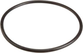 Pentair U9-229 Pump Lid O-Ring - Sta-Rite Dura-Glas / Max-E-Glas Pumps (5" Trap)