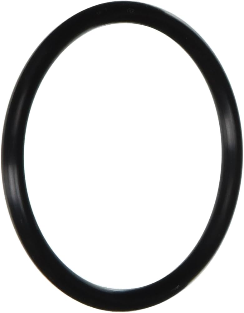 Pentair U9-374 Diffuser O-Ring - Sta-Rite Dura-Glas / Max-E-Pro / Dyna-Pro / IntelliPro Pumps
