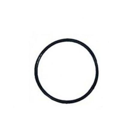 Pentair 071426 Union Nut O-Ring - Clean & Clear CC75/CC100/CC150