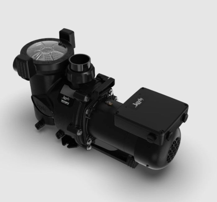 Jandy VS FloPro 1.65 HP Pump