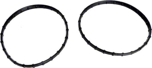 Pentair 178746Z Union Diamond Seal (2-Pack)