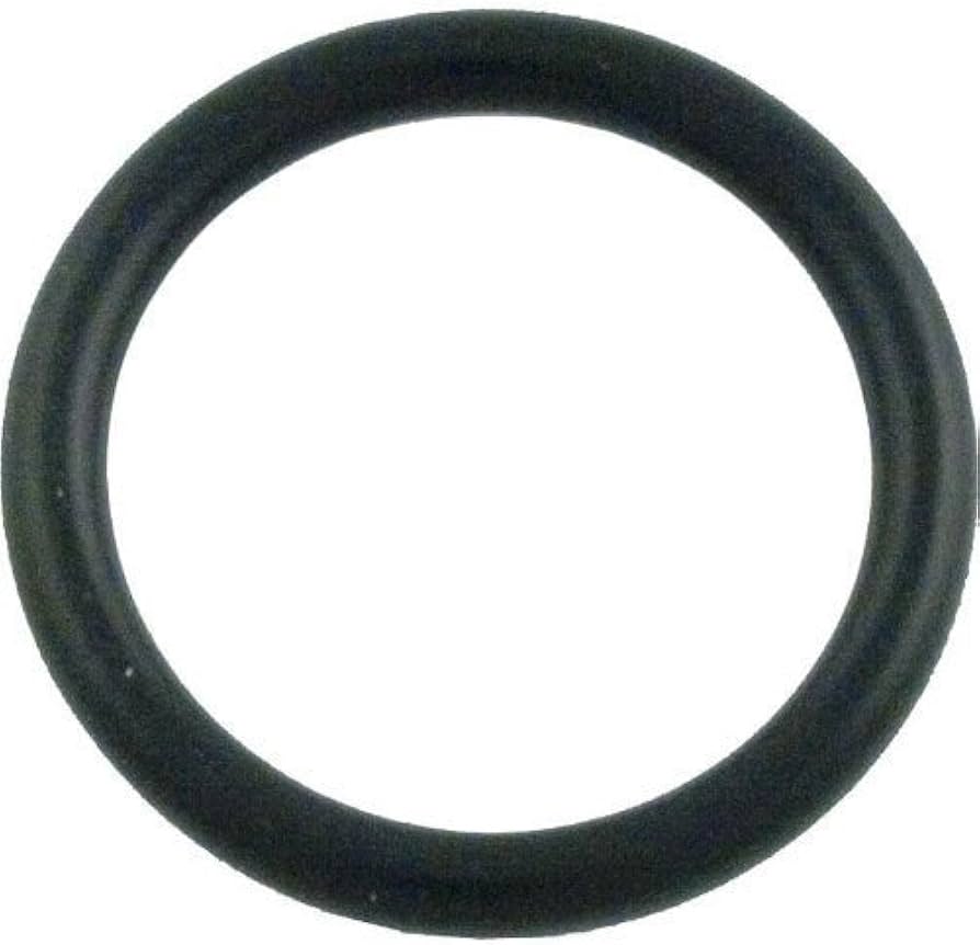Pentair 273090 Slide Valve O-Ring