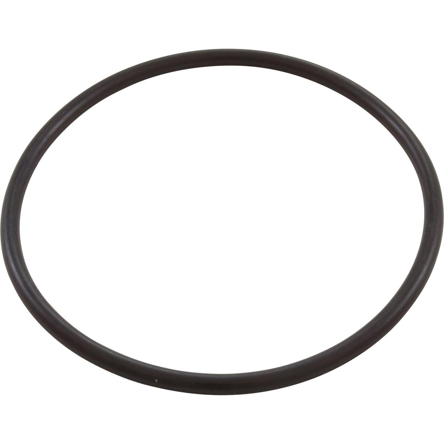 Pentair 350013 Pump Lid O-Ring - WhisperFlo/IntelliFlo/Challenger/Pinnacle