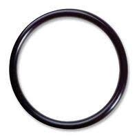 Pentair 355227 Diffuser O-Ring - WhisperFlo/IntelliFlo