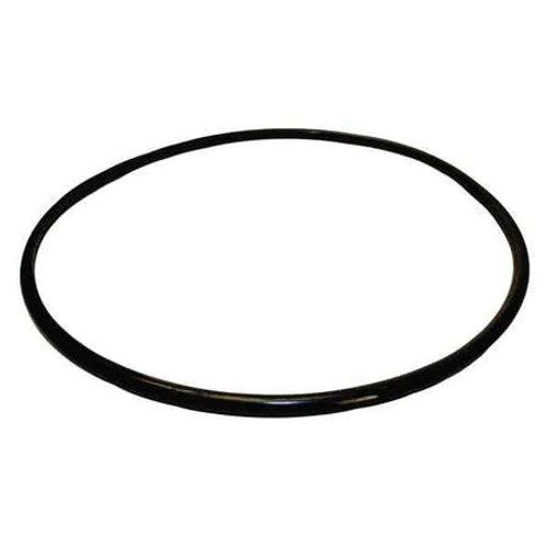 Pentair 355619 Seal Plate O-Ring - SuperFlo/SuperMax/Pinnacle