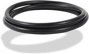 Pentair 39010200 Tank Clamp O-Ring