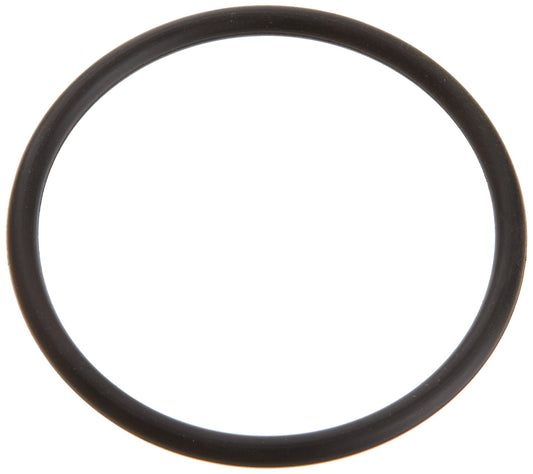Pentair 6020018 Union O-Ring - SuperFlo / SuperMax Pumps
