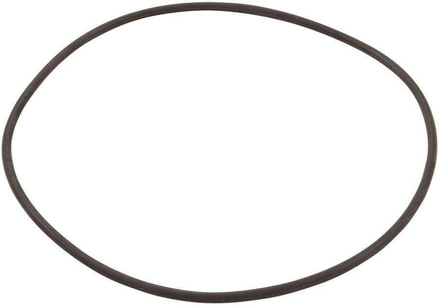 Hayward CXFHR1001 Filter Lid O-Ring