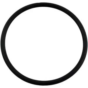 Hayward CLX110K Lid O-Ring - CL100/CL110