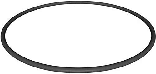 Hayward CX900F Filter Lid O-Ring - C900/C1200/C1750