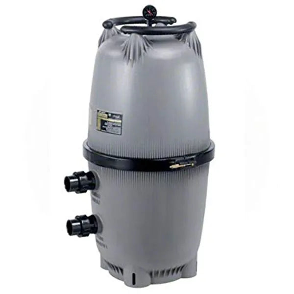 Jandy DEV60 DE Filter