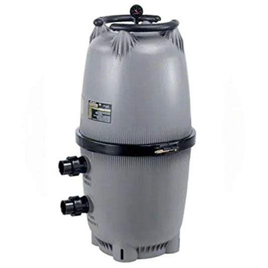 Jandy DEV60 DE Filter