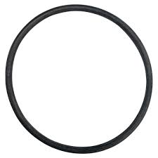 Hayward ECX1287 Gauge Adapter O-Ring