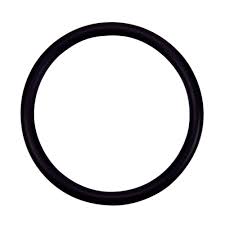 Pentair 274494 Valve Adapter O-Ring