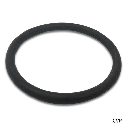Pentair R172319 Bottom O-Ring - Rainbow 320/322