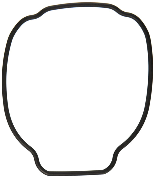 Hayward SPX3200T Housing O-Ring - TriStar/EcoStar