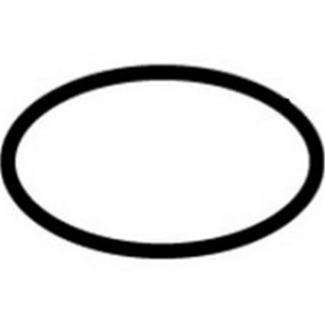 Pentair U9-373 Seal Plate O-Ring - Sta-Rite Dyna-Glas / Dyna-Pro / Dyna-Wave Pumps