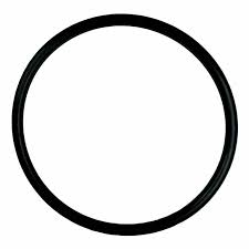 Pentair 521147 IntelliChlor Union O-Ring